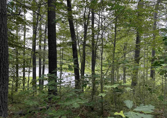 5th image of M 7 L 5-5 Blandings Ln, Shapleigh, ME 04076 | MLS# 5086796