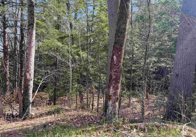 Photo 3 of Land for sale at 0 Brookside St, Conway, NH 03818 | MLS# 5086953 | Listing updated on 2026-07-29