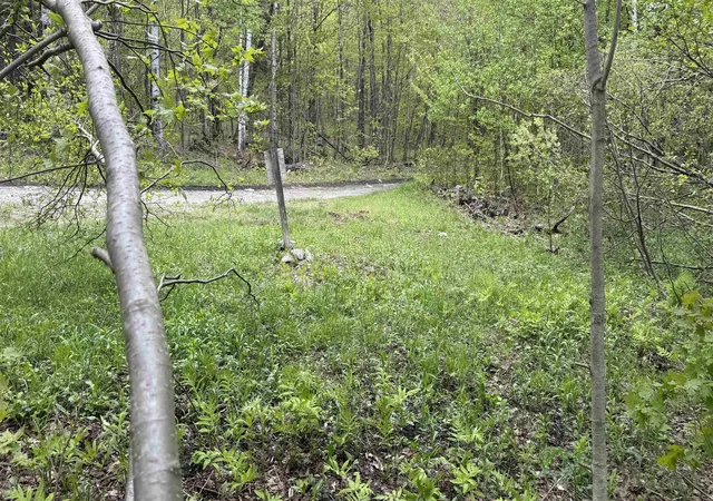 Photo 2 of Land for sale at 00 Potter Rd, Lowell, VT 05847 | MLS# 5086984 | Listing updated on 2026-07-22