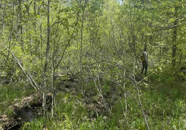 Photo 3 of Land for sale at 00 Potter Rd, Lowell, VT 05847 | MLS# 5086984 | Listing updated on 2026-07-22