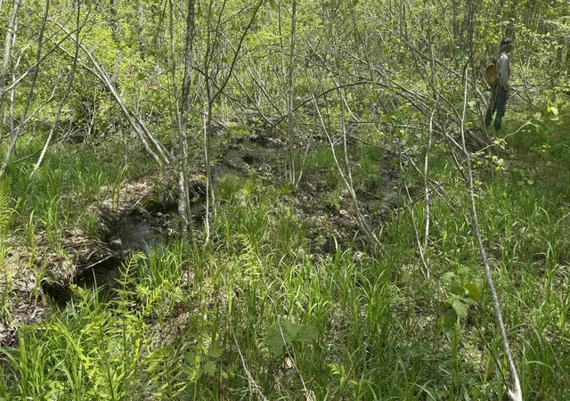 Photo 3 of Land for sale at 00 Potter Rd, Lowell, VT 05847 | MLS# 5086984 | Listing updated on 2026-07-22
