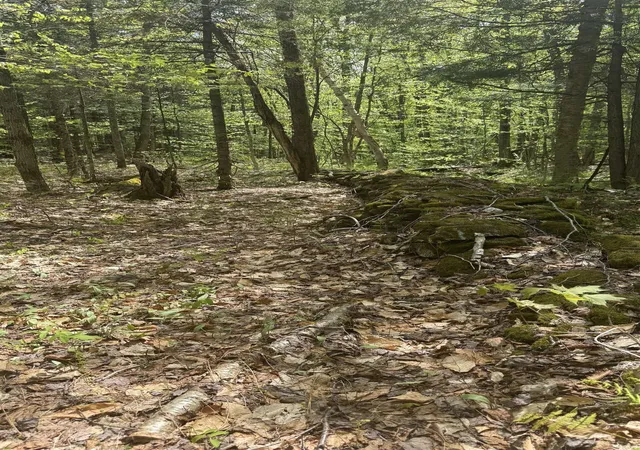 Photo 4 of Land for sale at 00 Potter Rd, Lowell, VT 05847 | MLS# 5086984 | Listing updated on 2026-07-22