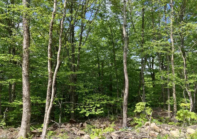 Homes for sale in Wilmington, VT | 402 Fox Mt Rd, Wilmington, VT 05363 | MLS# 5087013