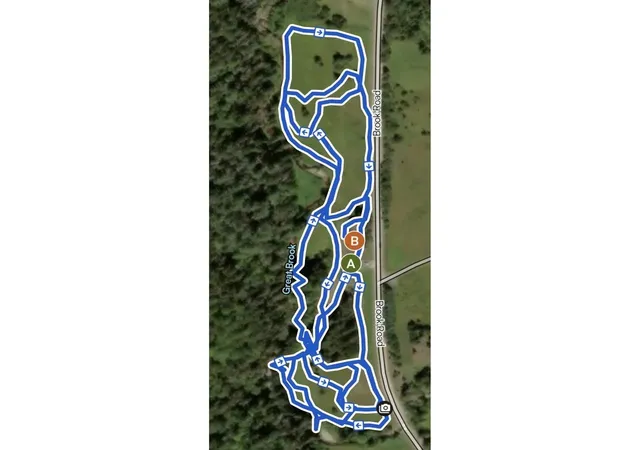59th image of 4614 Brook Rd, Plainfield, VT 05667 | MLS# 5087335