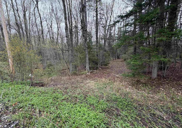 Photo 1 of Land for sale at 00 Lebensdorf Ln, Readsboro, VT 05350 | MLS# 5087402 | Listing updated on 2026-05-20