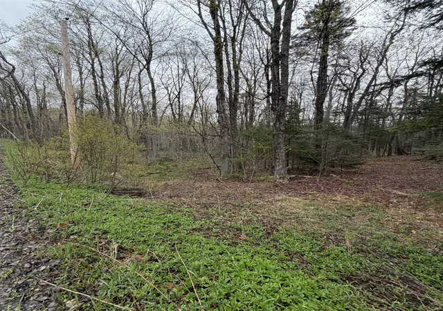 Photo 4 of Land for sale at 00 Lebensdorf Ln, Readsboro, VT 05350 | MLS# 5087402 | Listing updated on 2026-05-20