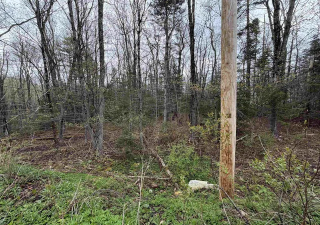 Photo 2 of Land for sale at 00 Lebensdorf Ln, Readsboro, VT 05350 | MLS# 5087402 | Listing updated on 2026-05-20