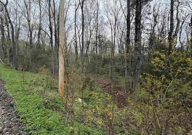 Photo 3 of Land for sale at 00 Lebensdorf Ln, Readsboro, VT 05350 | MLS# 5087402 | Listing updated on 2026-05-20