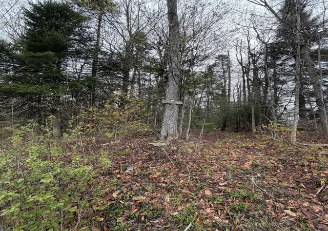 Photo 3 of Land for sale at 00 Lebensdorf Ln, Readsboro, VT 05350 | MLS# 5087402 | Listing updated on 2026-05-20