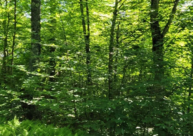 3rd image of Lot 26 Presidential View Ln, Bethlehem, NH 03574 | MLS# 5087476