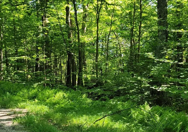 5th image of Lot 26 Presidential View Ln, Bethlehem, NH 03574 | MLS# 5087476