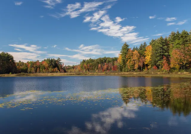 4th image of 900 Bunker Hill Rd, Tamworth, NH 03883 | MLS# 5087501