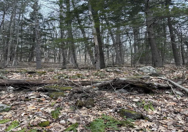 2nd image of 00 Coon Hill Rd, Castleton, VT 05735 | MLS# 5087736