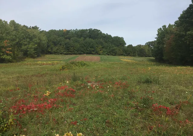 5th image of 8 Stark Rd, Derry, NH 03038 | MLS# 5087857