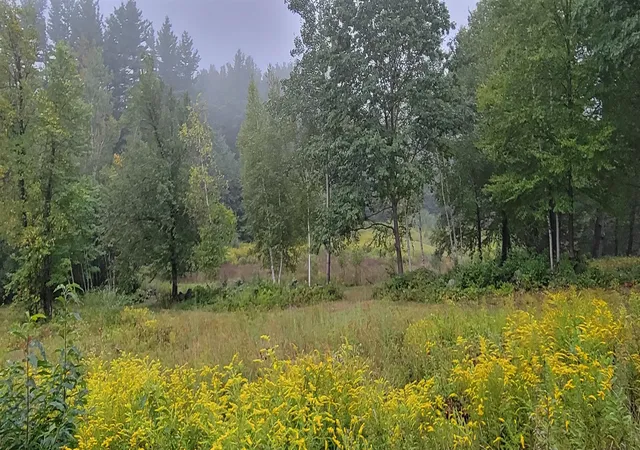 5th image of Off Mccrae Rd, Temple, NH 03084 | MLS# 5087859