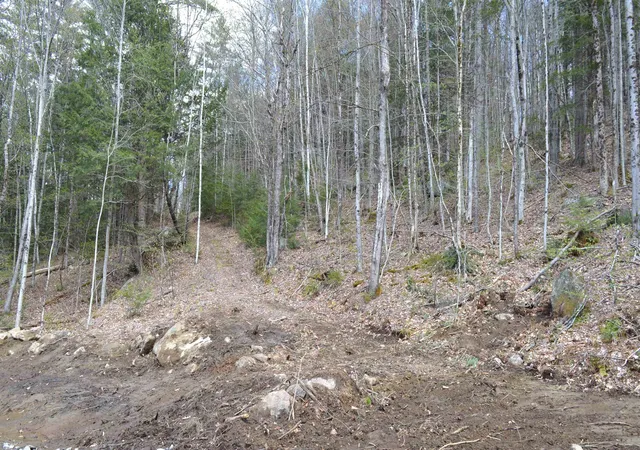 Homes for sale in Lempster, NH | 0 Dero Rd, Lempster, NH 03605 | MLS# 5087967