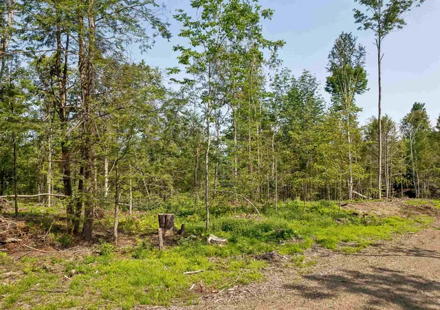 Homes for sale in Haverhill, NH | 00 Court St, Haverhill, NH 03765 | MLS# 5087970