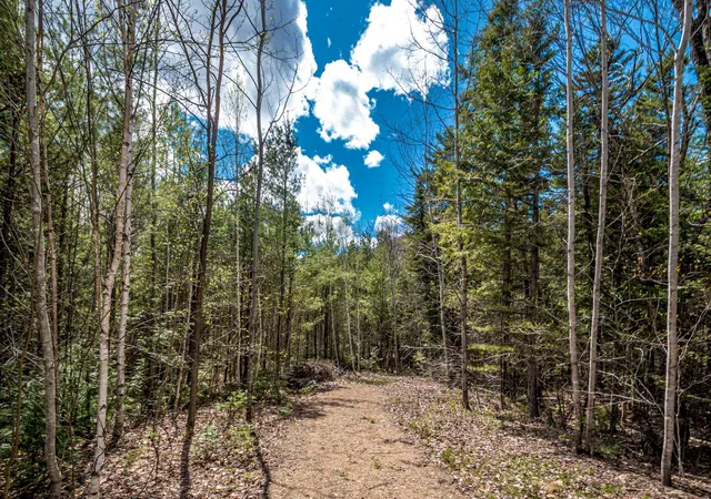 Photo 4 of Land for sale at C28 Stanton Farm Rd, Bartlett, NH 03812 | MLS# 5088077 | Listing updated on 2026-06-26