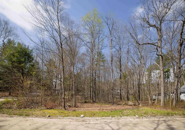58th image of 43 Moccasin Trl, Hillsborough, NH 03244 | MLS# 5088120