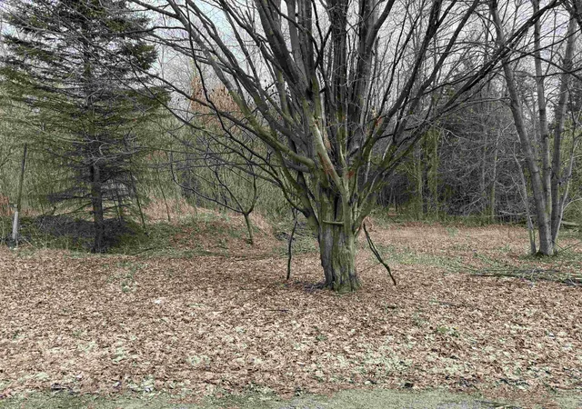 1st image of 54 Adams School Rd, Grand Isle, VT 05458 | MLS# 5088326