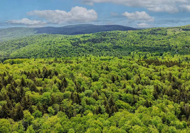 Homes for sale in Andover, VT | 0 East Hill Rd, Andover, VT 05143 | MLS# 5088649