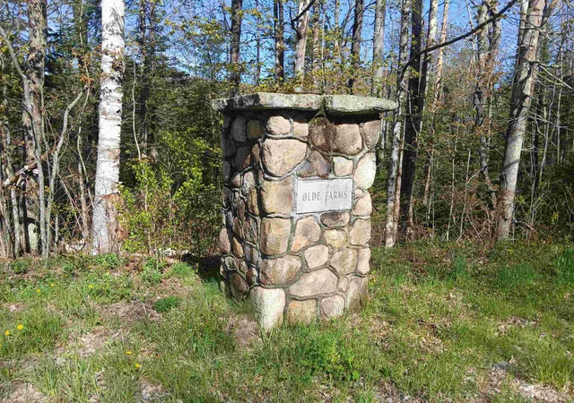 Homes for sale in Grantham, NH | 224 Walker Rd, Grantham, NH 03753 | MLS# 5088929