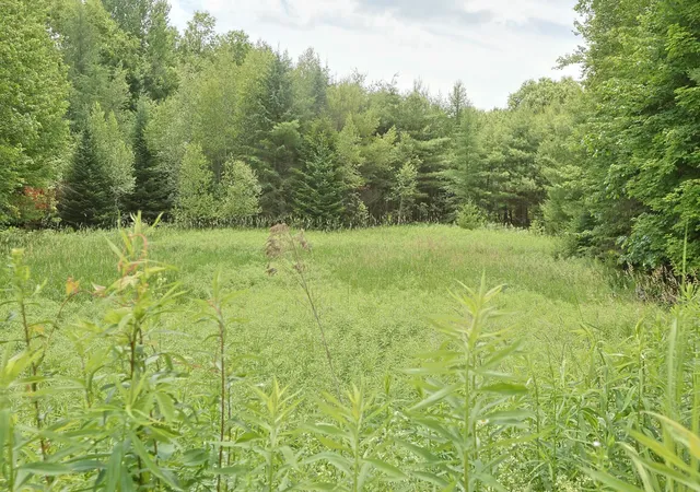 Homes for sale in Bath, NH | 38 Cross Rd, Bath, NH 03740 | MLS# 5089002