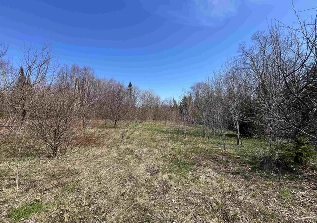 Photo 1 of Land for sale at 980 Coles Rd, Island Pond, VT 05846 | MLS# 5089236 | Listing updated on 2026-07-17