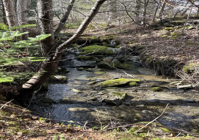 Photo 3 of Land for sale at 980 Coles Rd, Island Pond, VT 05846 | MLS# 5089236 | Listing updated on 2026-07-17