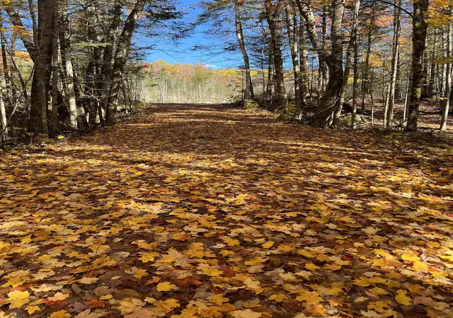 21st image of 00 Route 3 North, Carroll, NH 03595 | MLS# 5089277