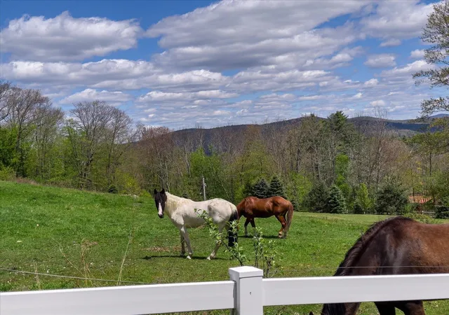Homes for sale in Winchester, NH | 295 Manning Hill Rd, Winchester, NH 03470 | MLS# 5089279