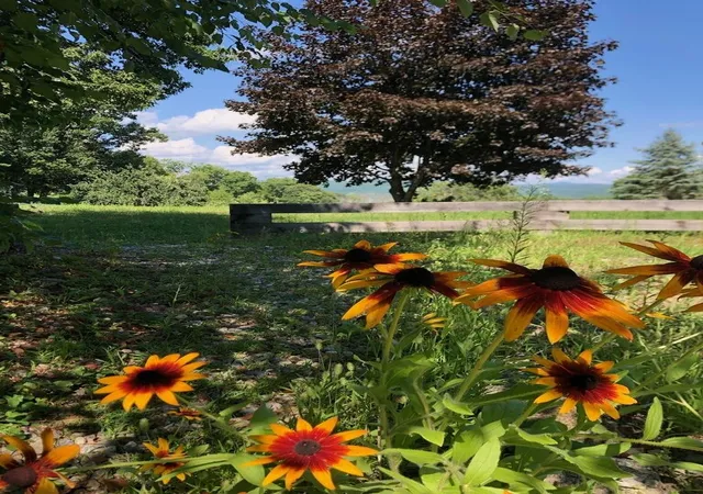 59th image of 295 Manning Hill Rd, Winchester, NH 03470 | MLS# 5089279