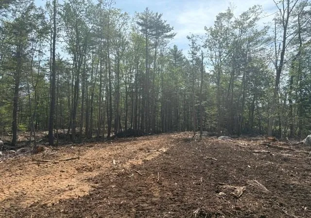 2nd image of B 19 1 Wilton Rd, Mason, NH 03048 | MLS# 5089291