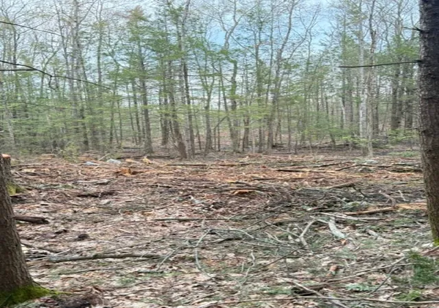 4th image of B-19-1 Wilton Rd, Mason, NH 03048 | MLS# 5089291