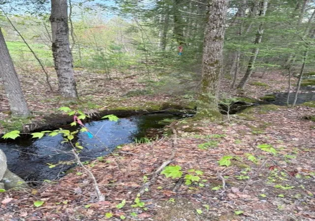 5th image of B 19 1 Wilton Rd, Mason, NH 03048 | MLS# 5089291