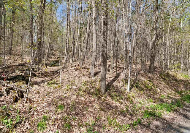 Homes for sale in Wallingford, VT | 269 Hawkins Rd, Wallingford, VT 05773 | MLS# 5089304