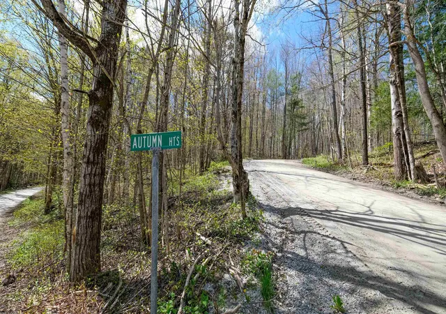 Homes for sale in Wallingford, VT | 269 Hawkins Rd, Wallingford, VT 05773 | MLS# 5089304
