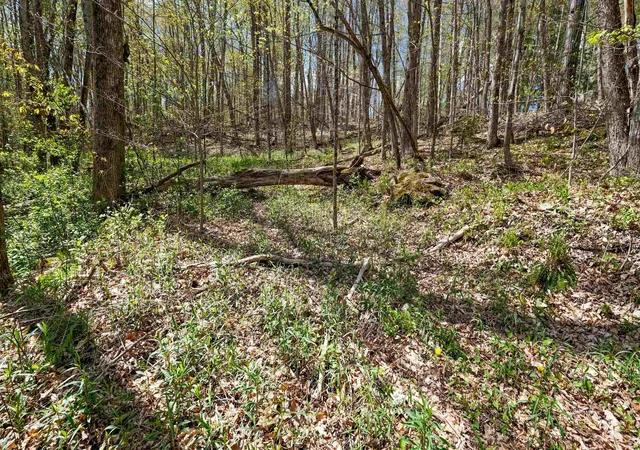 Homes for sale in Wallingford, VT | 269 Hawkins Rd, Wallingford, VT 05773 | MLS# 5089304