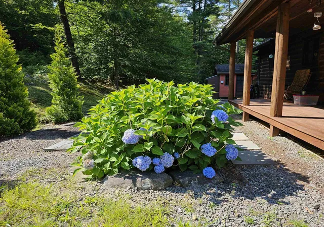 Homes for sale in Townshend, VT | 214 Pine Acres Rd, Townshend, VT 05353 | MLS# 5089390