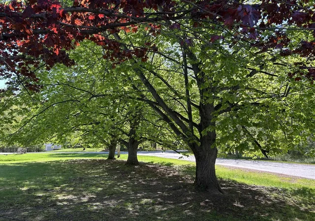 3rd image of 9 Oak Ridge Rd, Kensington, NH 03833 | MLS# 5089541