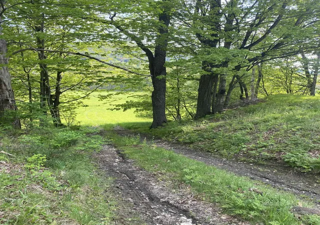 Photo 3 of Land for sale at 13 Happy Hollow Rd, South Royalton, VT 05068 | MLS# 5089557 | Listing updated on 2026-07-22