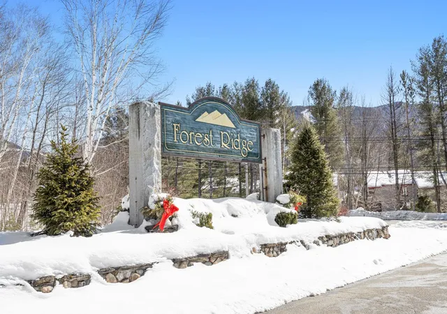 Homes for sale in Lincoln, NH | 8 Twin Tip Ter #3, Lincoln, NH 03251 | MLS# 5089694
