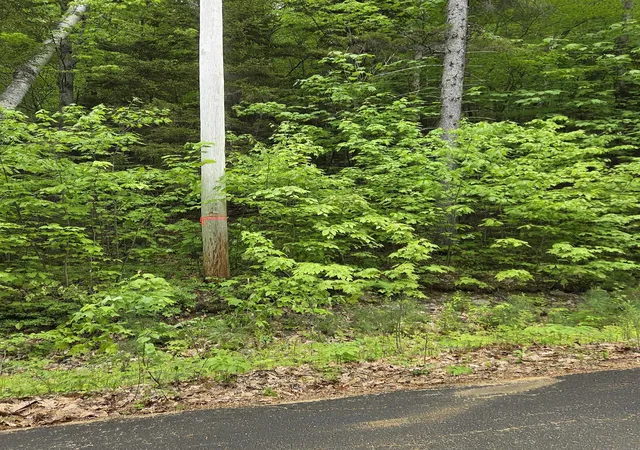 Homes for sale in Campton, NH | 12-10 Boulder Dr, Campton, NH 03223 | MLS# 5089700