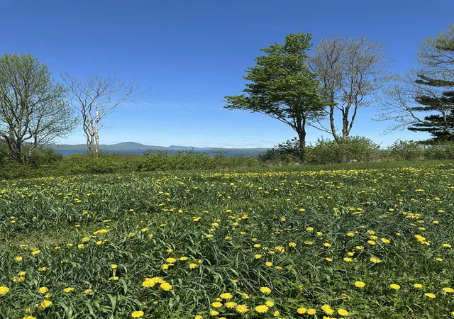 2nd image of 0 Shattuck Hill Rd, Derby, VT 05829 | MLS# 5089847