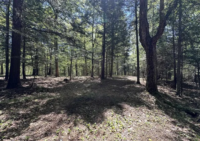 38th image of 0 Shattuck Hill Rd, Derby, VT 05829 | MLS# 5089847