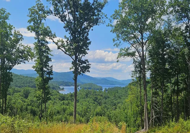 1st image of 207 Overlook Dr, Bristol, NH 03222 | MLS# 5089856