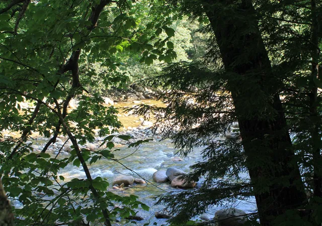 45th image of 250 South Peak Rd, Lincoln, NH 03251 | MLS# 5089898