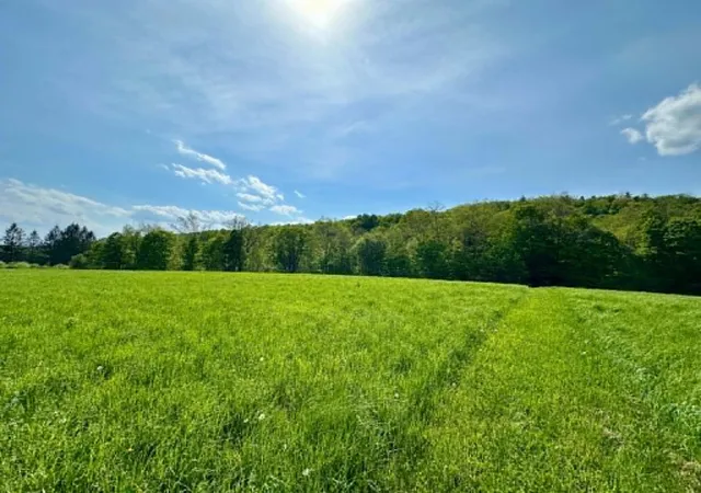 Homes for sale in Guilford, VT | Lot A Sweet Pond Rd, Guilford, VT 05301 | MLS# 5090046