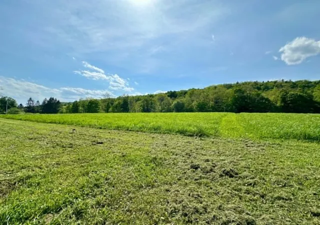 Homes for sale in Guilford, VT | Lot A Sweet Pond Rd, Guilford, VT 05301 | MLS# 5090046