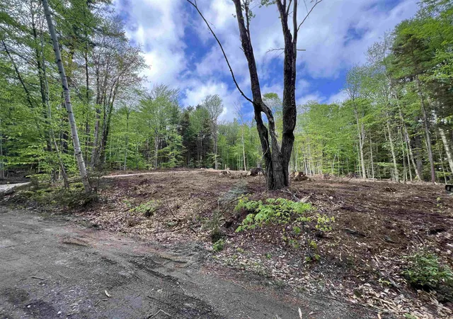 Homes for sale in Wardsboro, VT | 170 Maple Dr, Wardsboro, VT 05355 | MLS# 5090072